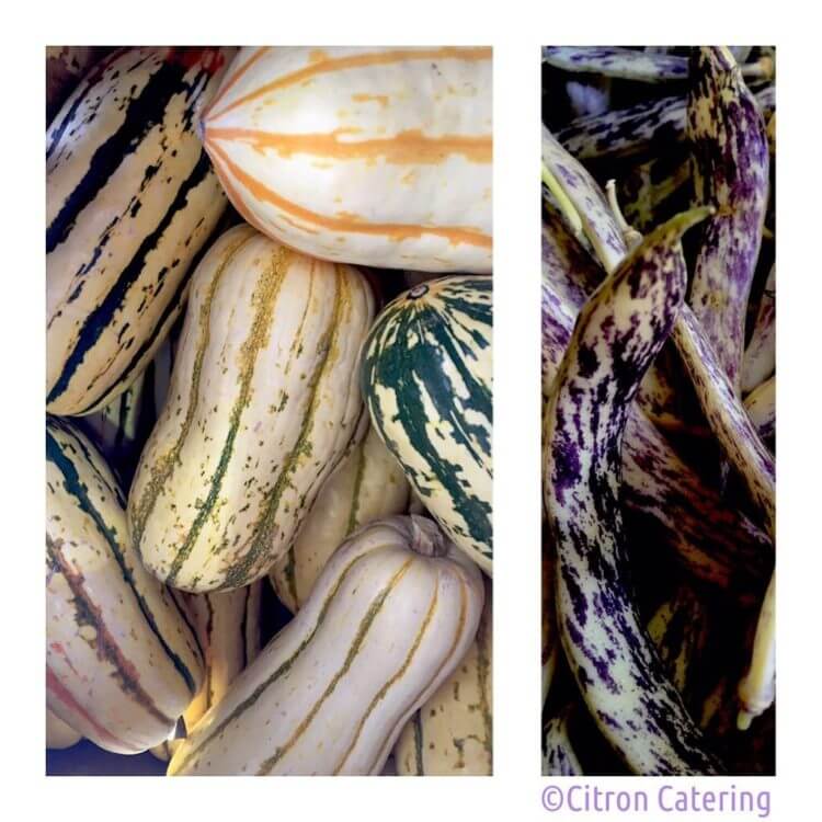 Straight from the farmers market are these organic Delicata Squash and Dragon's Tongue Beans! Can't wait to use...????????????
